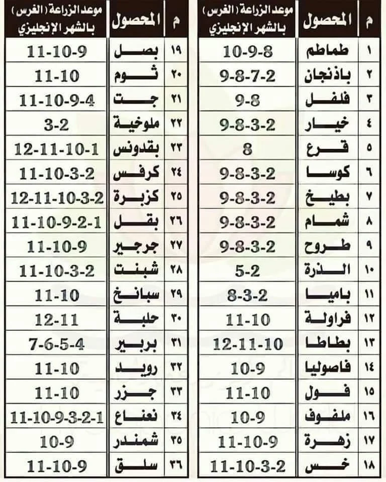 متى تزرع الخضار – تقويم شهربشهر